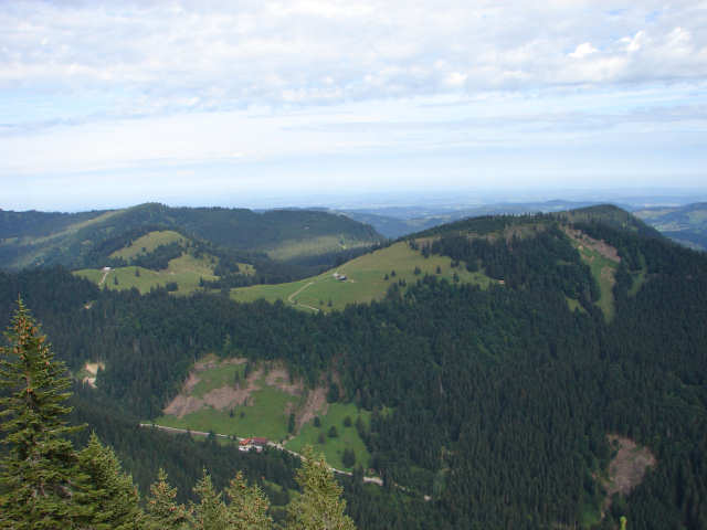 Blick vom Steineberg aufs Horn